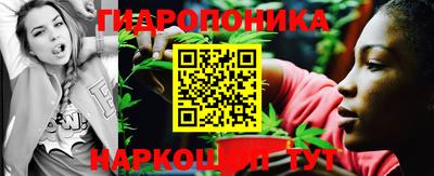 молекула духа Заводоуковск