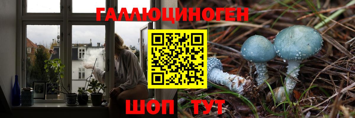 Псилоцибиновые грибы мицелий  купить наркотик  Киселёвск  Вход с VPN  Галлюциногенные грибы ЛСД 